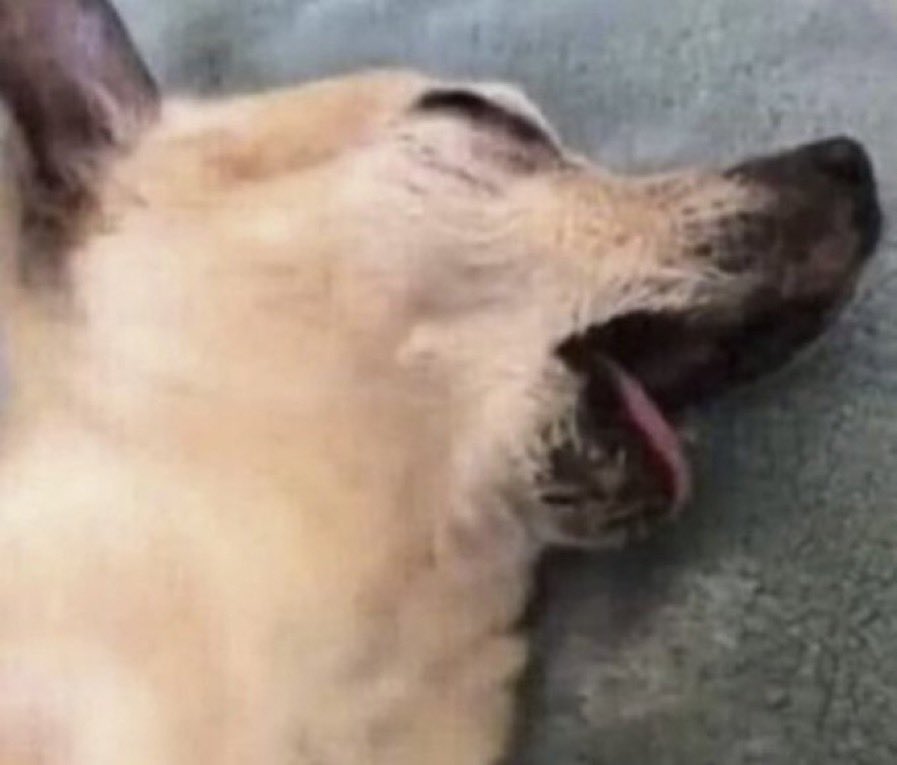 lyr1cs : ) tweet media