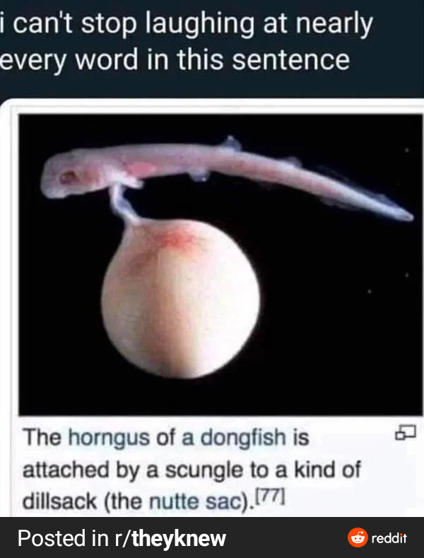 Andyac21's tweet photo. @NoContextRoss Scungle https://t.co/kbstELmEUQ