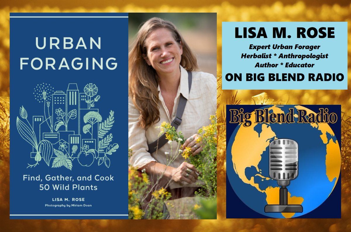 Big Blend Radio & Magazines (@bigblendmag) on Twitter photo On #BigBlendRadio Now, herbalist & author Lisa M. Rose discusses her beautiful new book “Urban Foraging: Find, Gather and Cook 50 Wild Plants," that's out now w/ <a href="/timberpress/">Timber Press</a>. Listen Now/Later here: bit.ly/3C948Xo #foraging #edibleplants #botany On #BigBlendRadio Now, herbalist & author Lisa M. Rose discusses her beautiful new book “Urban Foraging: Find, Gather and Cook 50 Wild Plants," that's out now w/ <a href="/timberpress/">Timber Press</a>. Listen Now/Later here: bit.ly/3C948Xo #foraging #edibleplants #botany