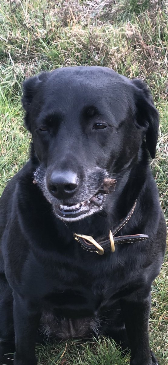 Ewen Murray tweet media