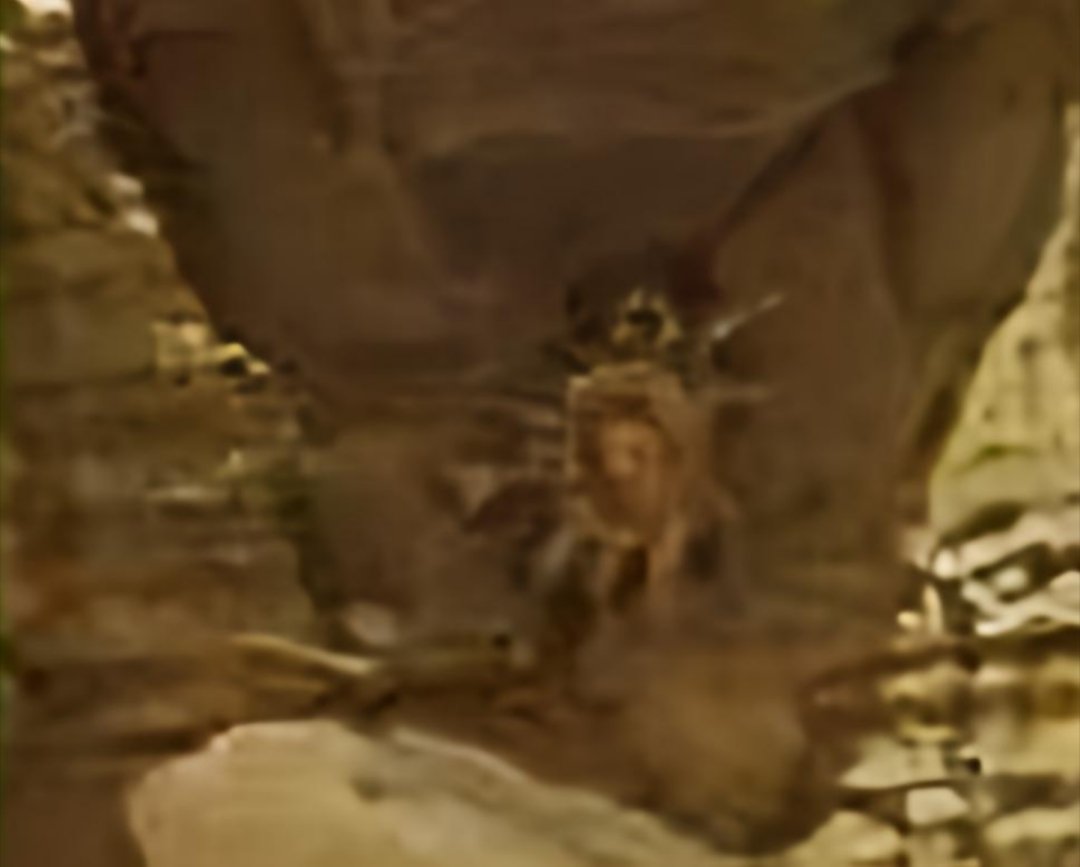 UFO Stories 🛸👽 tweet media