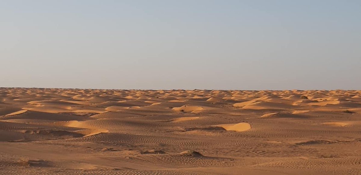 جمال الصحراء