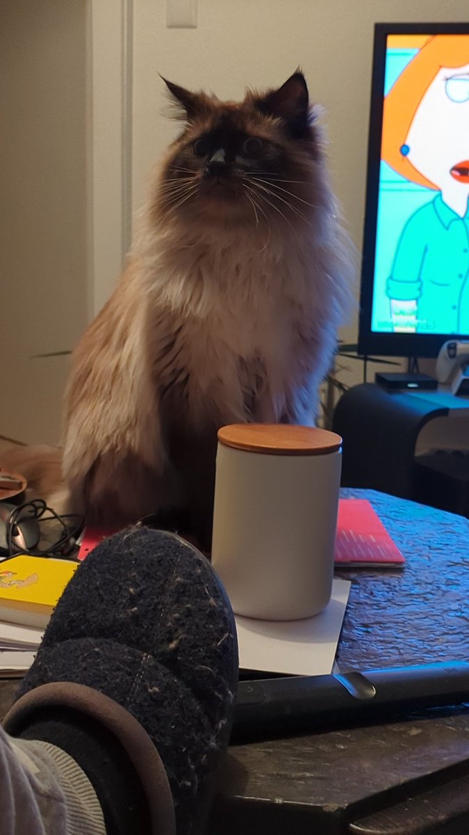 Luigi Florence tweet media