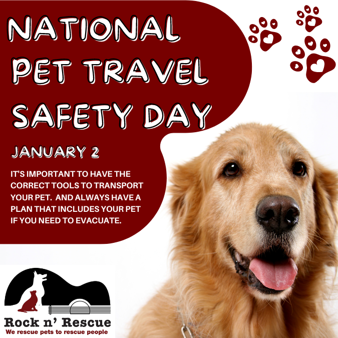 rock_n_rescue's tweet photo. Whether it is a four-legged ball of fur or a winged wonder, pets need to travel in comfort and safety โ which is what National Pet Travel Safety Day, held on January 2 each year, embodies.
#newyear #recuedog #Rescue #kittens #adoptdontshop https://t.co/J3aqWMvOUf