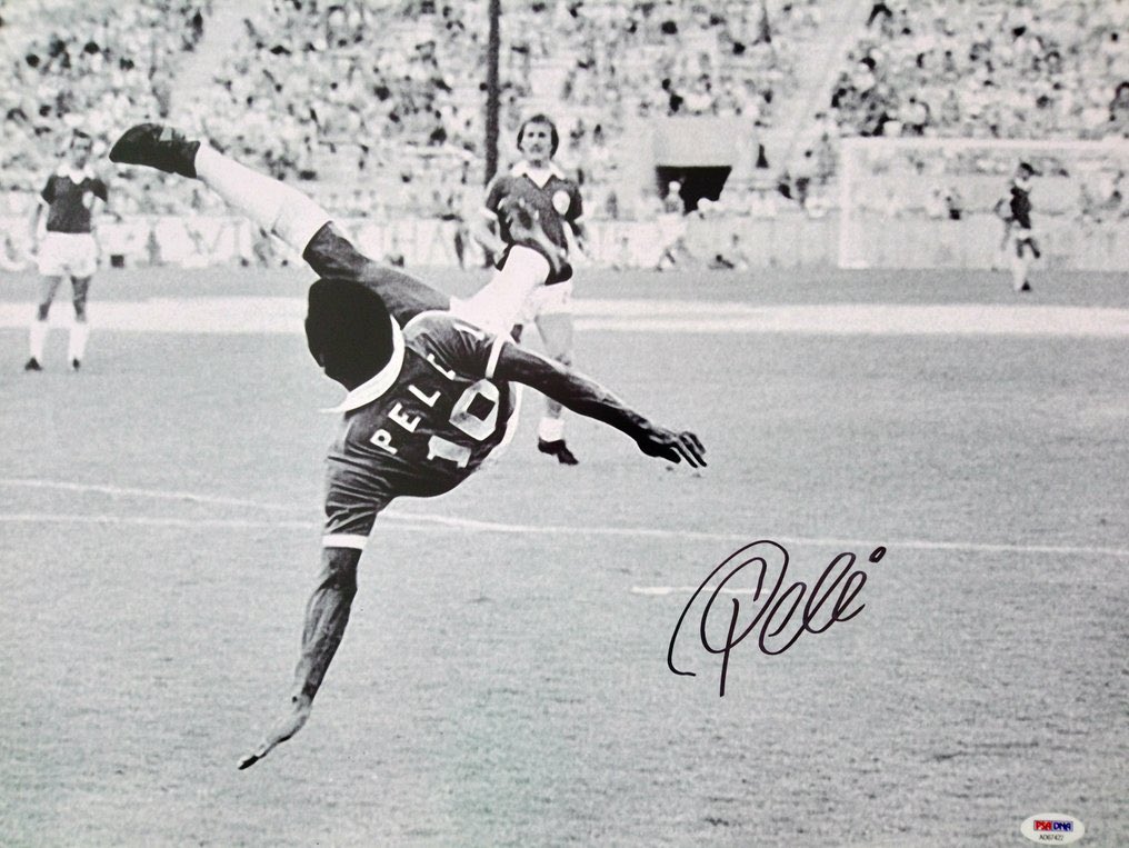 Simon Leth (@simonleth1) on Twitter photo 