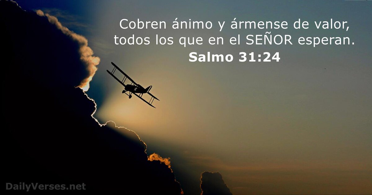 MarianFrattini's tweet photo. https://t.co/NfP0NnlCSF