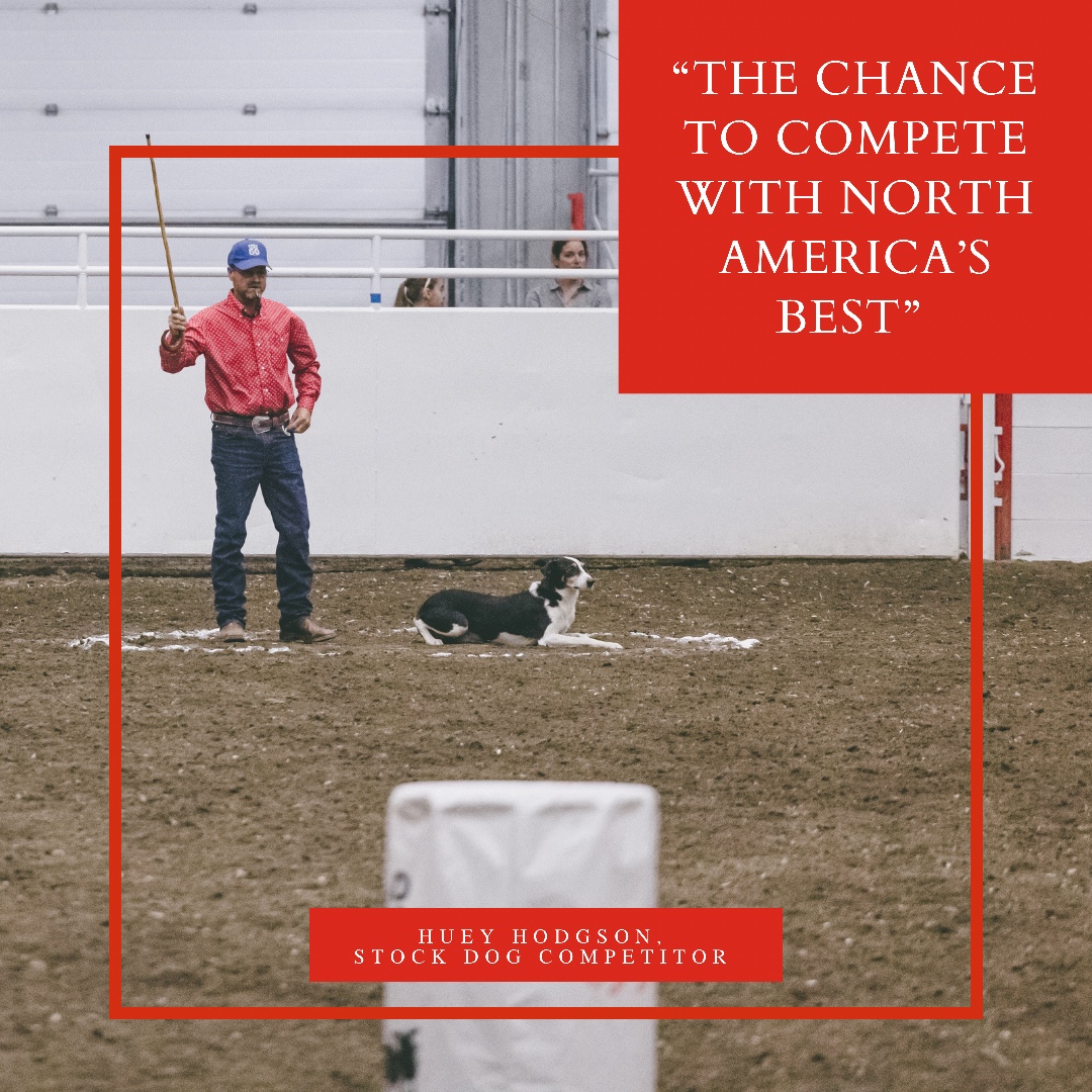stampedeag's tweet photo. For Huey Hodgeson, the Calgary Stampede is all about coming together for the chance to compete against North Americaβs best.
#stockdogs #stampedeag #westernevents https://t.co/UAfA1WQVT4