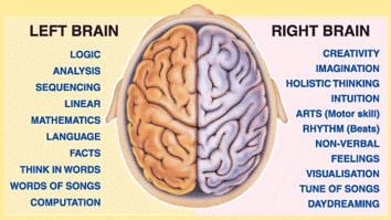 Learning about the brain helped me understand how my children learn best.