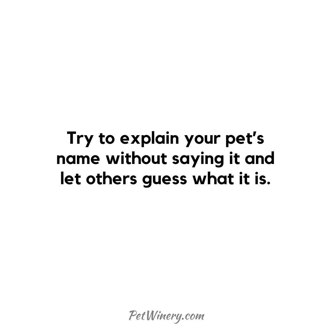 PetWinery tweet media