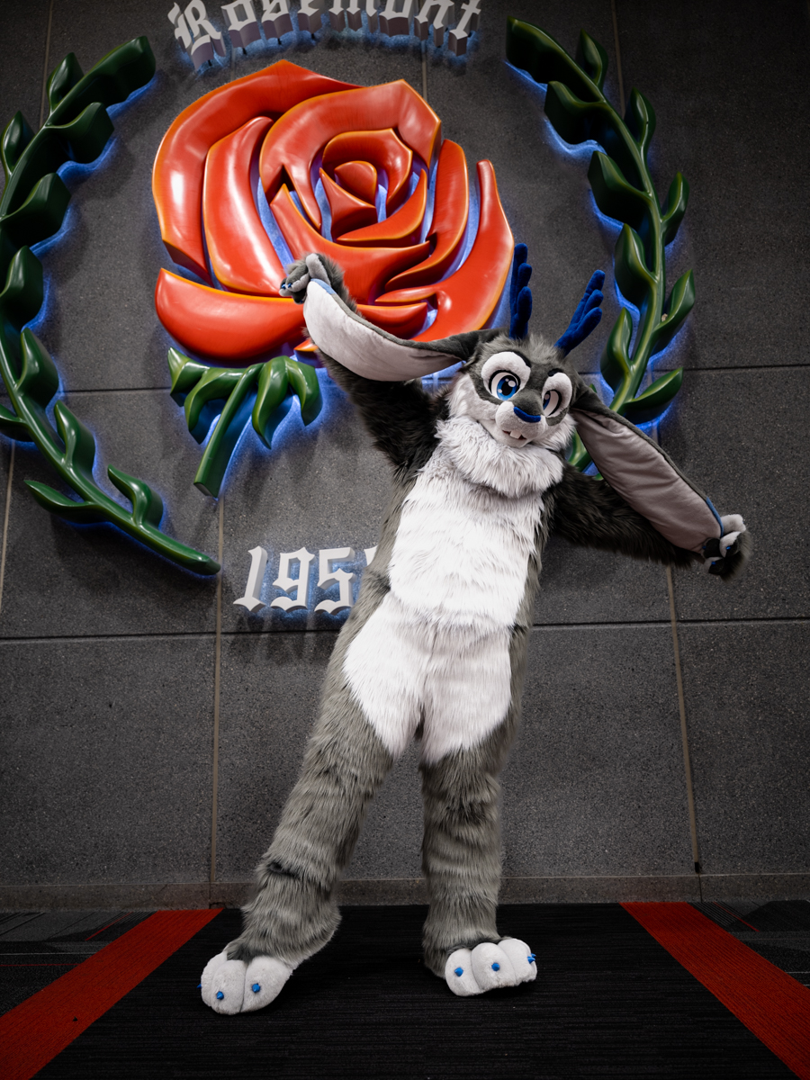 amsnep's tweet photo. More #mff2022 #furfest photos! It's Zam the jackalope! https://t.co/ukUQt8LLov