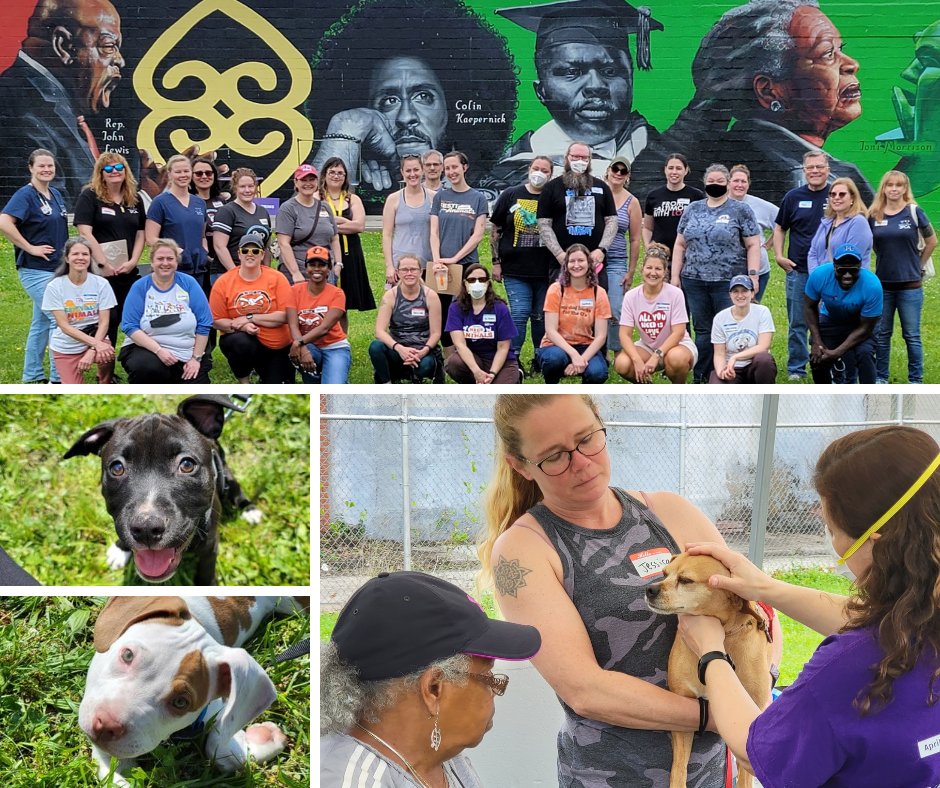 BMoreDog's tweet photo. Your support in 2022 means B-More Dog provided 1,185 critical services to 355 of Baltimore's dogs in our 11th year of Wellness Clinics.  This was also a year of weather-related challenges and leadership changes for B-More Dog. Find out more here:
https://t.co/F055FGwDVI https://t.co/bMLJiLFemy