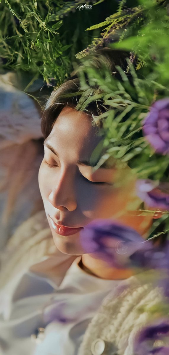 honeymooneditss's tweet photo. Here some more Wild flower edits ✨

⇀🌙 https://t.co/jSbjaHdzCK