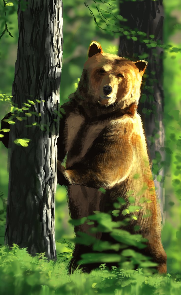 HectorAlef's tweet image. Bear

#Digitalart #DigitalPainting #Bear #sketch #illustration
