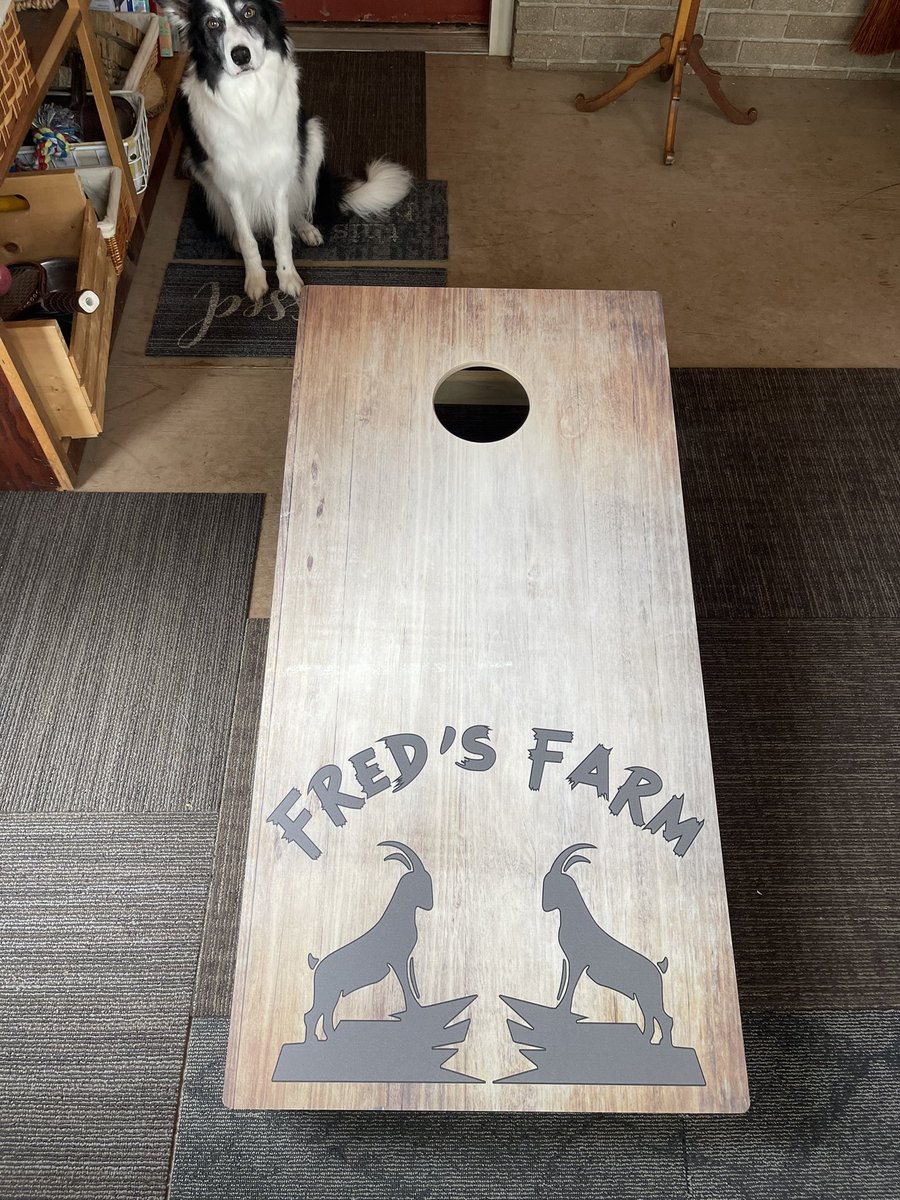 CSBCJP's tweet photo. My grandpaw received a reward for his bean bag throwing excellence. He was able to theme his new #cornhole boards after his goats (my favorite!) If you want to see more dwarf goats, follow them on instagram at https://t.co/0pNjNAwJwR https://t.co/0aDmIKI6H4