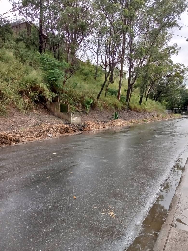 elchinoalfredo's tweet image. Trabajo de desmalezamiento se hizo pero no se recogió dicho monte cortado, ya está creciendo nuevo monte donde se desmalezo incluso ensima del cortado  cuando se dignaran a recoger eso, obstaculiza el libre tránsito @gestionperfecta @Nahumjfernandez @caricuaoenfoto