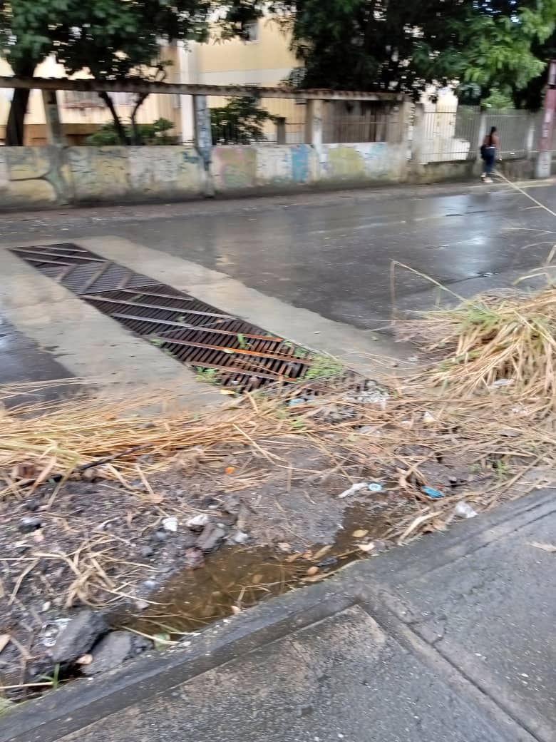 elchinoalfredo's tweet image. Trabajo de desmalezamiento se hizo pero no se recogió dicho monte cortado, ya está creciendo nuevo monte donde se desmalezo incluso ensima del cortado  cuando se dignaran a recoger eso, obstaculiza el libre tránsito @gestionperfecta @Nahumjfernandez @caricuaoenfoto