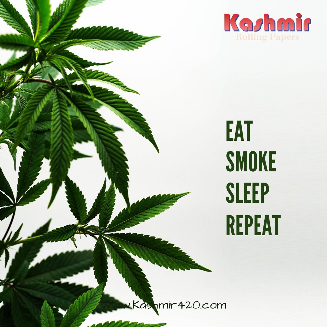 Kashmir_420's tweet photo. That's all!
.
.
@Kashmir_420
.
.
#thurdaymotivation #thursdayvibes #bonglovers #bong #kashmir420 #kashmirrollingpapers #cannabiscommunity #snoopdogg #weedmemes #hilarious #memes4life #weedmemes #memes2good #memeslayer #memesdaily #shitpost https://t.co/yU5zx0L9vn
