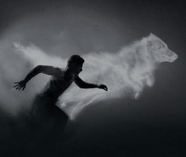 Güneydoğu ve Anadolu bölgesinde de 37 yıldır binlerce gazi ve şehit vermiş. Yurdumuzun çok az kişinin haberdar olduğu gizli KAHRAMANLARIMIZ Korucularımıza ses olun #korucukadroistiyor