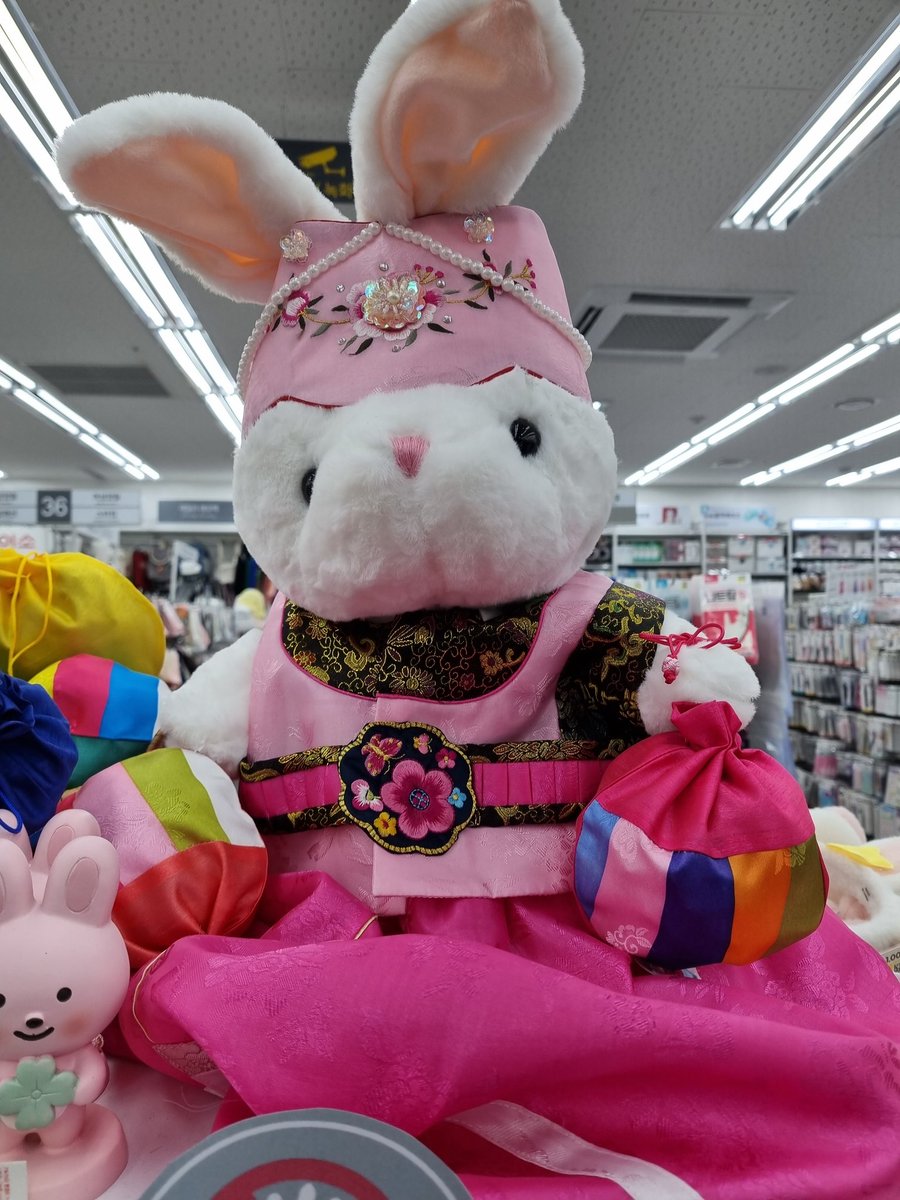 오늘 다이써갓는데 톡히칭구들 엄청 많이봄ㅎㅎㅎ 다 입양해오구싶엇음😁😁 특히 저 이뿐 한복입은 대왕톡히🐰 채끼한테 입히고싶오~~힛