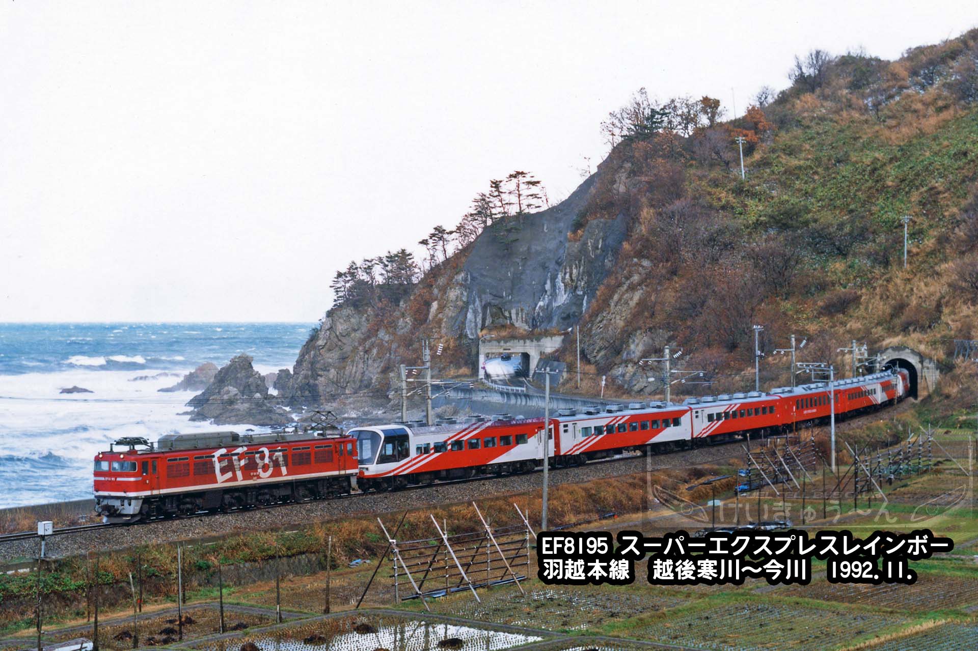 けいきゅう～ん on X: 