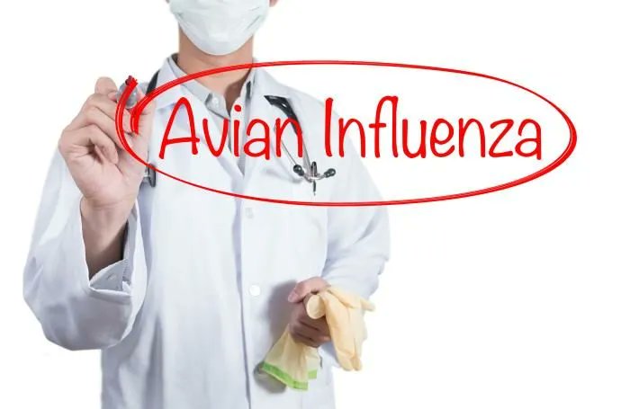 Avian influenza cases reported in California, Canada bit.ly/3Gqob6o #avianflu