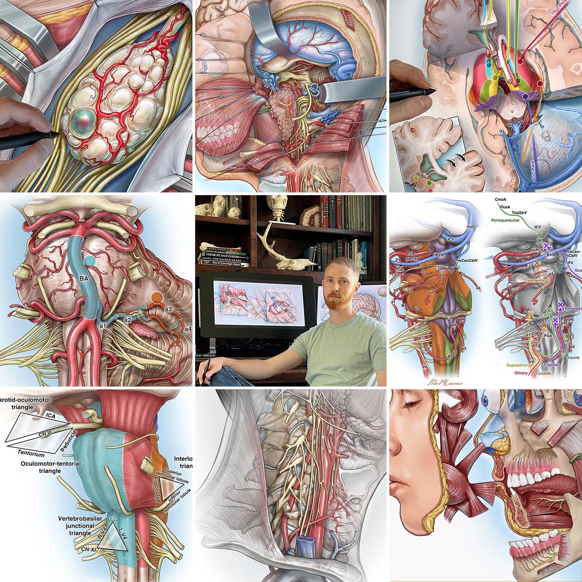 PeterMLawrence1's tweet image. Another year of doing what I love. Thanks for the support, everyone 🧠✍🏻 #neuroscience #illustration petermlawrence.com