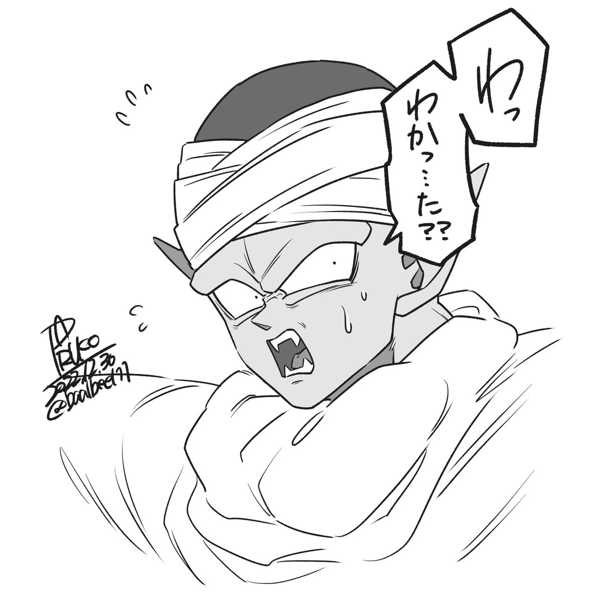 これは何もわかっていないピさん 