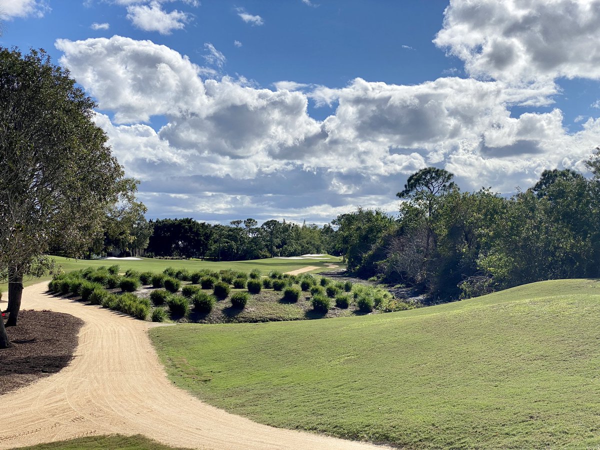 Tim Gavrich tweet media