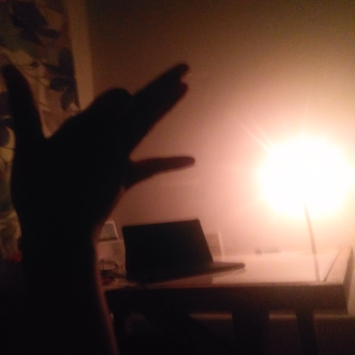 I'm now 18 ehe rawrf