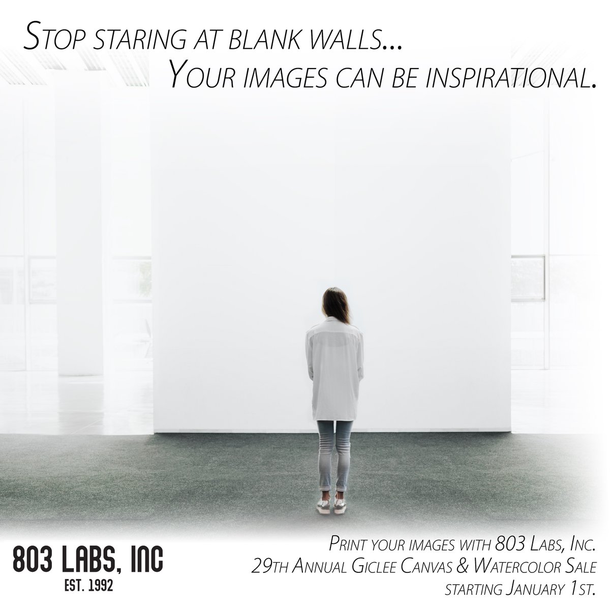 803 Labs, Inc. tweet media