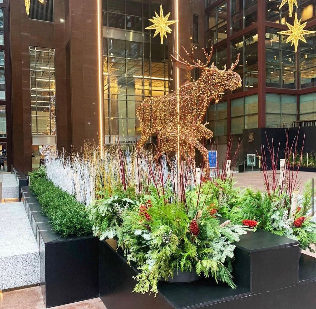 Beaverlands's tweet photo. 2020 @myscotiaplaza Holiday plantings ❄️ 📸 https://t.co/KpEMqzLtrD