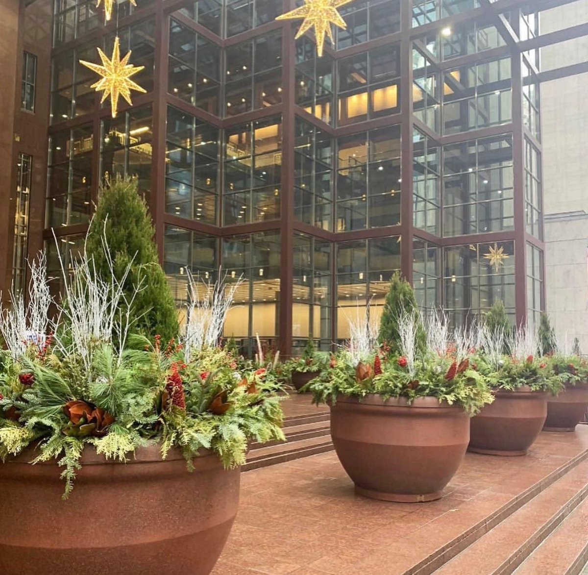 Beaverlands's tweet photo. 2020 @myscotiaplaza Holiday plantings ❄️ 📸 https://t.co/KpEMqzLtrD