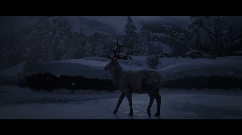 Wookieh4k tweet media