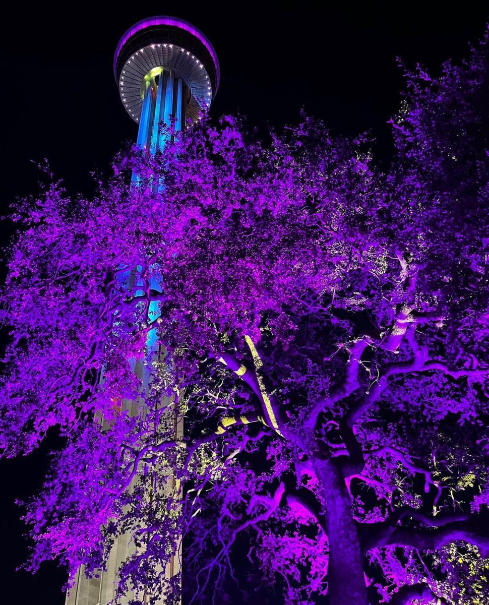 towerofamericas's tweet photo. There's nothing like football season in Texas! 🏈 Alamo Bowl is here and the Tower is the Washington Huskies fans "headquarters" for the day! 💜💛

Check out our stories for updates as we get ready for Alamo Bowl!

#alamobowl #texaslonghorns #washingtonhuskies #alamobowl2022 https://t.co/0qrGgci1xd