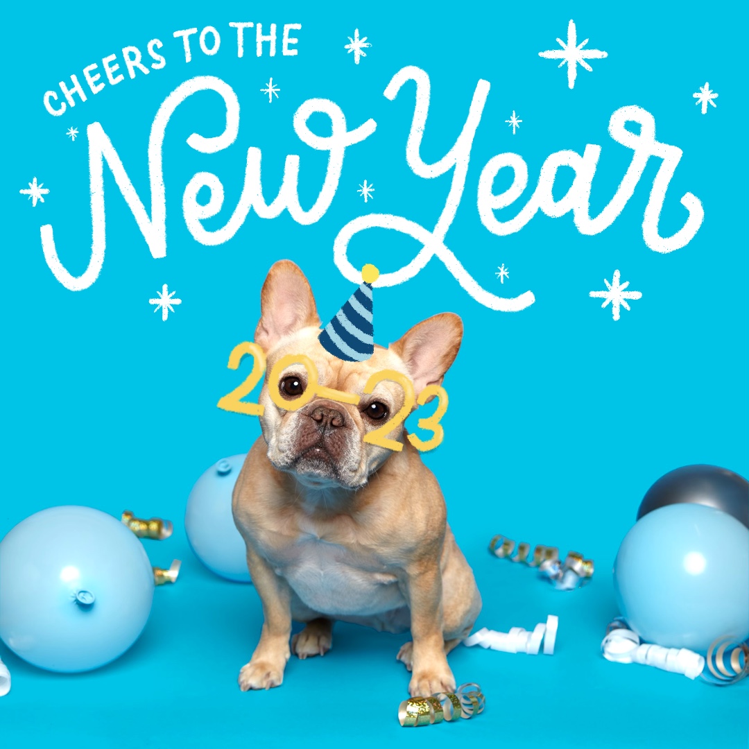 The best endings always come with confetti and balloons. Cheers to new products launching in 2023 and free shipping (as always)! 🎉 🥂 🥳#HappyNewYear2022