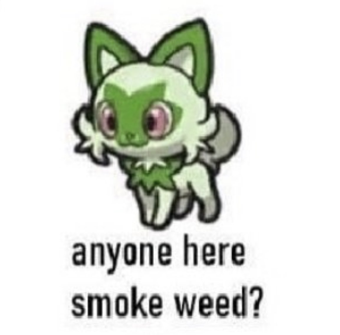 _uma_the_puma_'s tweet photo. me literally at all times https://t.co/TDhPUyIP5W