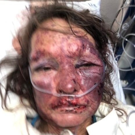 steve van niekerk tweet media