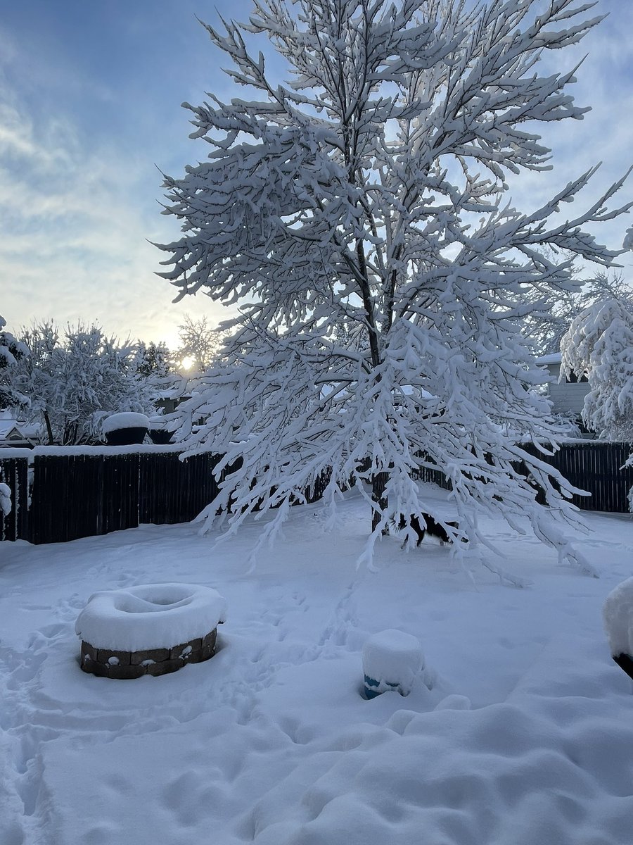 goavs925's tweet photo. @BianchiWeather 8.5β of snow for us at Hampden and Sheridan. Too deep for sedans or rear wheel drive vehicles to navigate in our neighborhood. Had to get the tow straps out so the neighbors could free their work van. glad Iβm remote! #swdenver #remotework #tonsofsnow https://t.co/JUnKkpJDMP