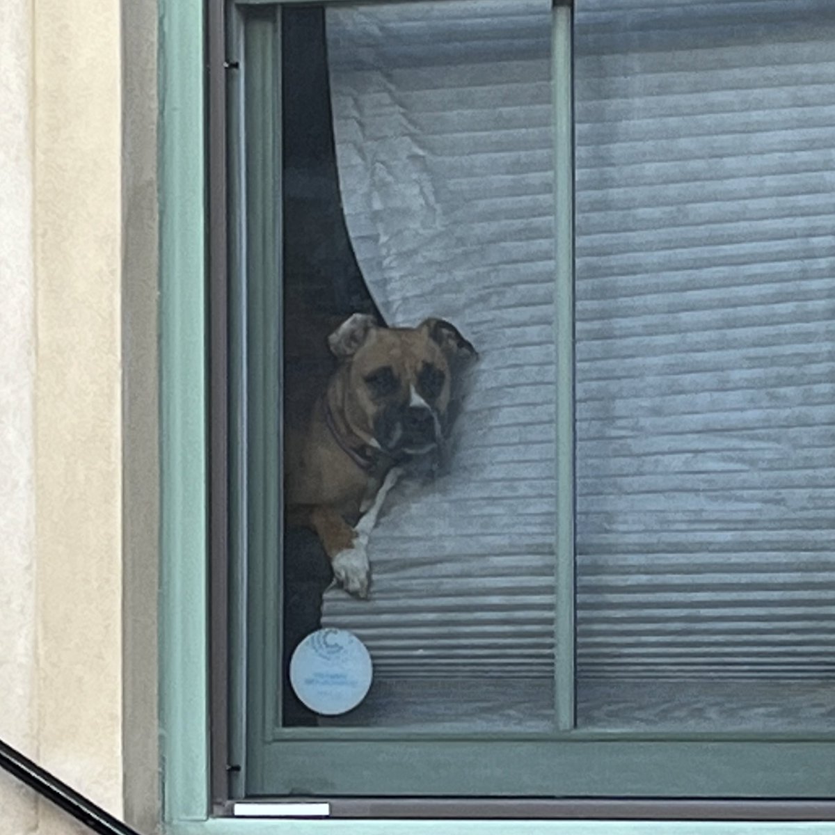 DefendAndSwerve's tweet image. Had the feeling I was being watched when I was getting something out of my car. Was not wrong.