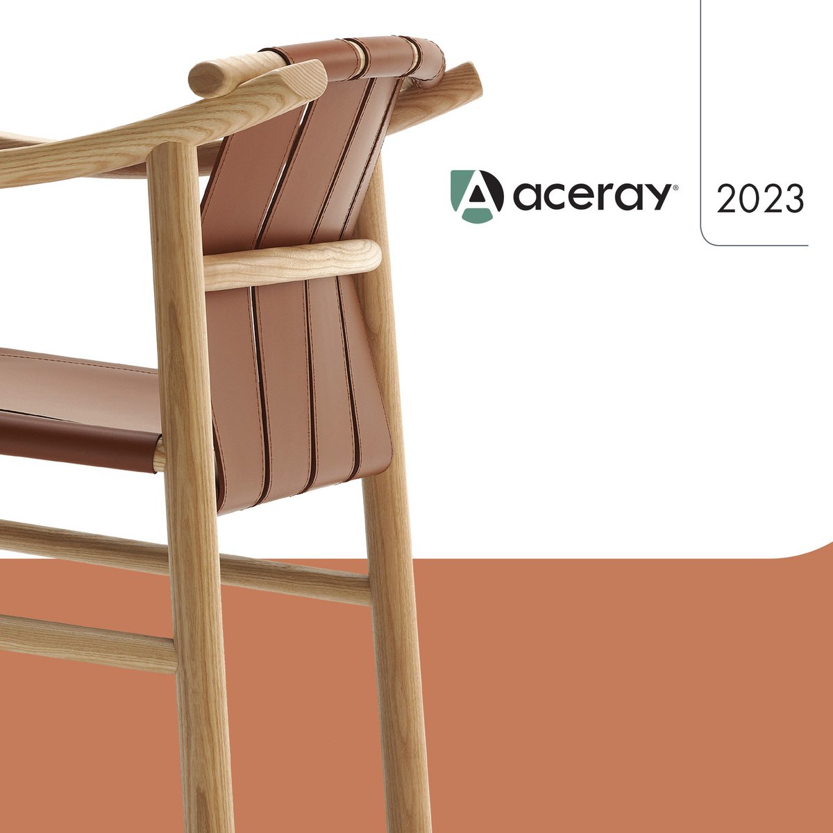 Aceray LLC tweet media