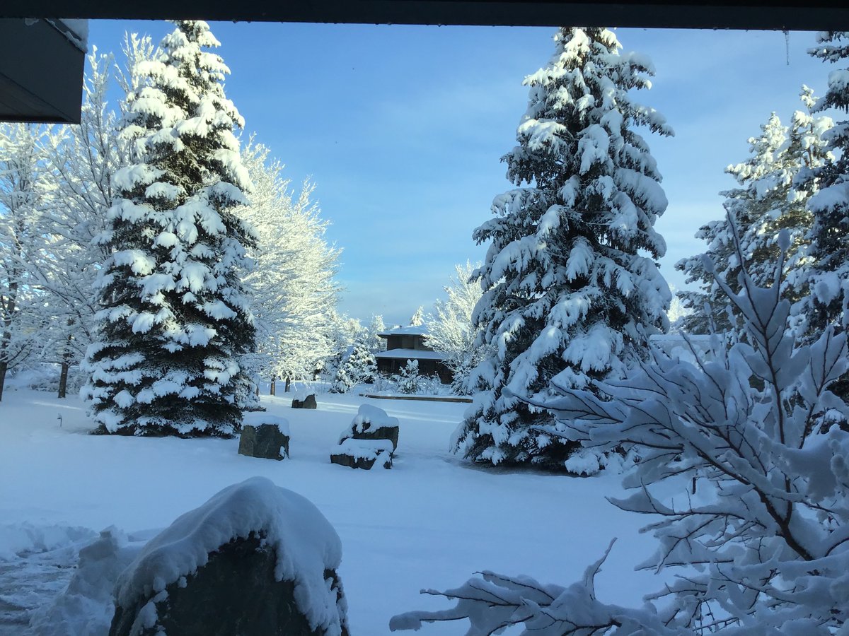 Ginger Cohen tweet media