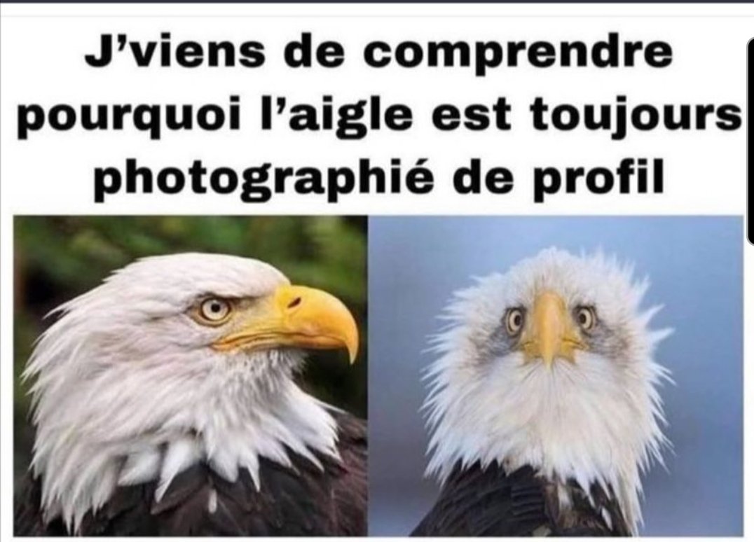 ♠Balou78♠ #A2P tweet media