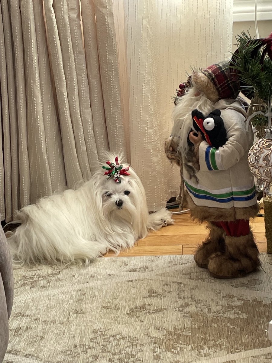 Merry Christmas 🤶