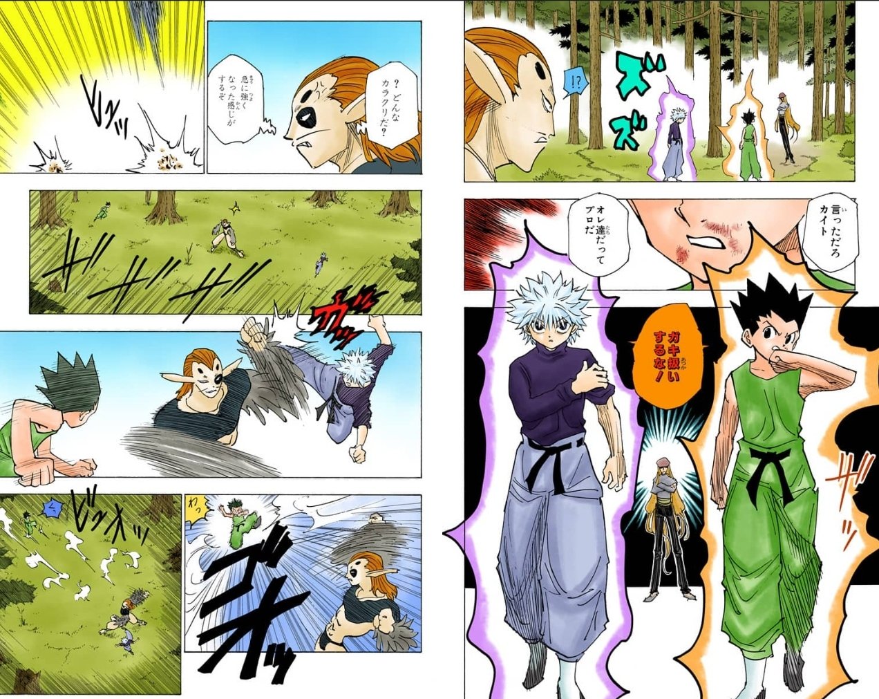 Hunter X Hunter: Chimera Ant Arc