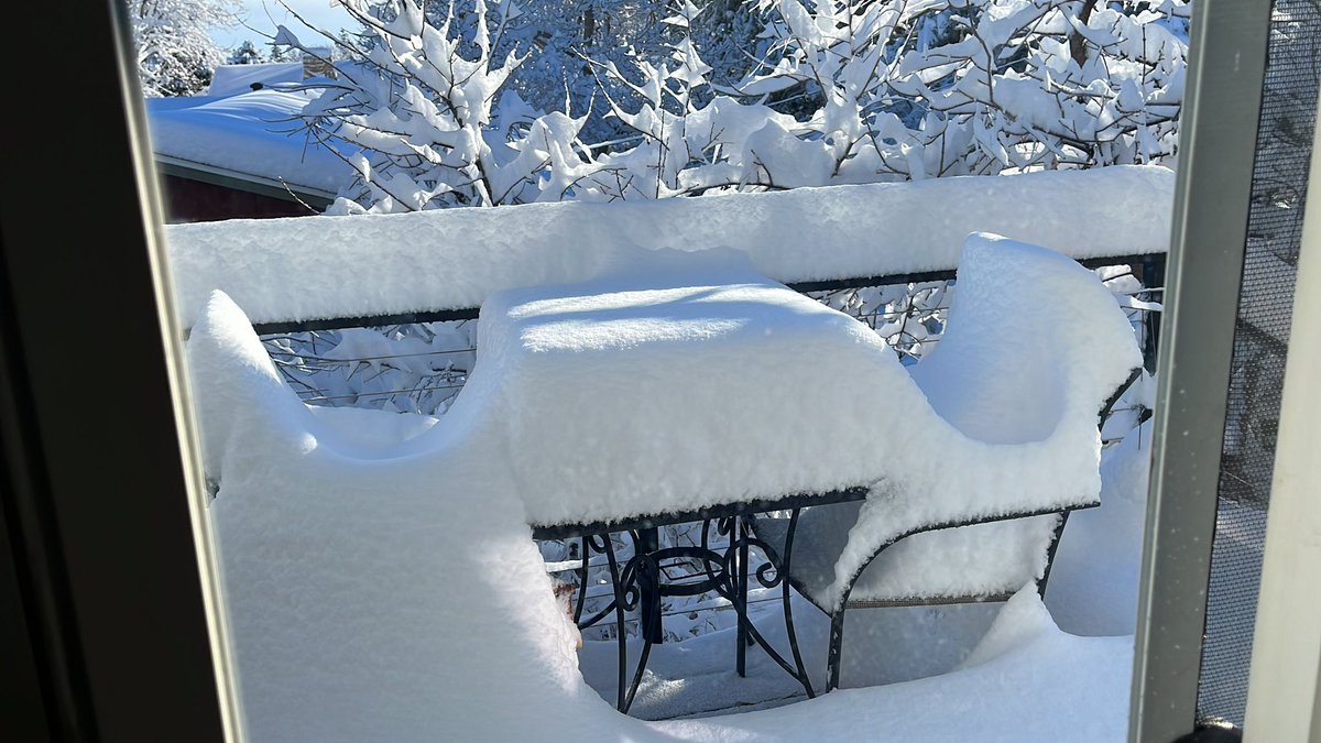 EPHamilton tweet media