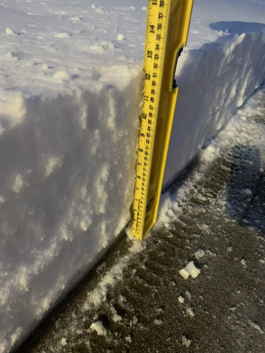 EPHamilton tweet media