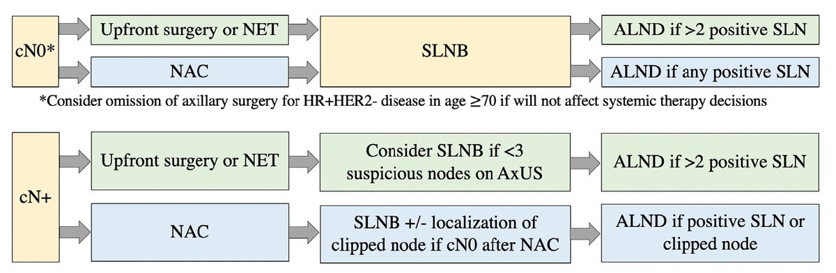 Surgical Management of the Axilla for Breast Cancer.
pubmed.ncbi.nlm.nih.gov/36435614/