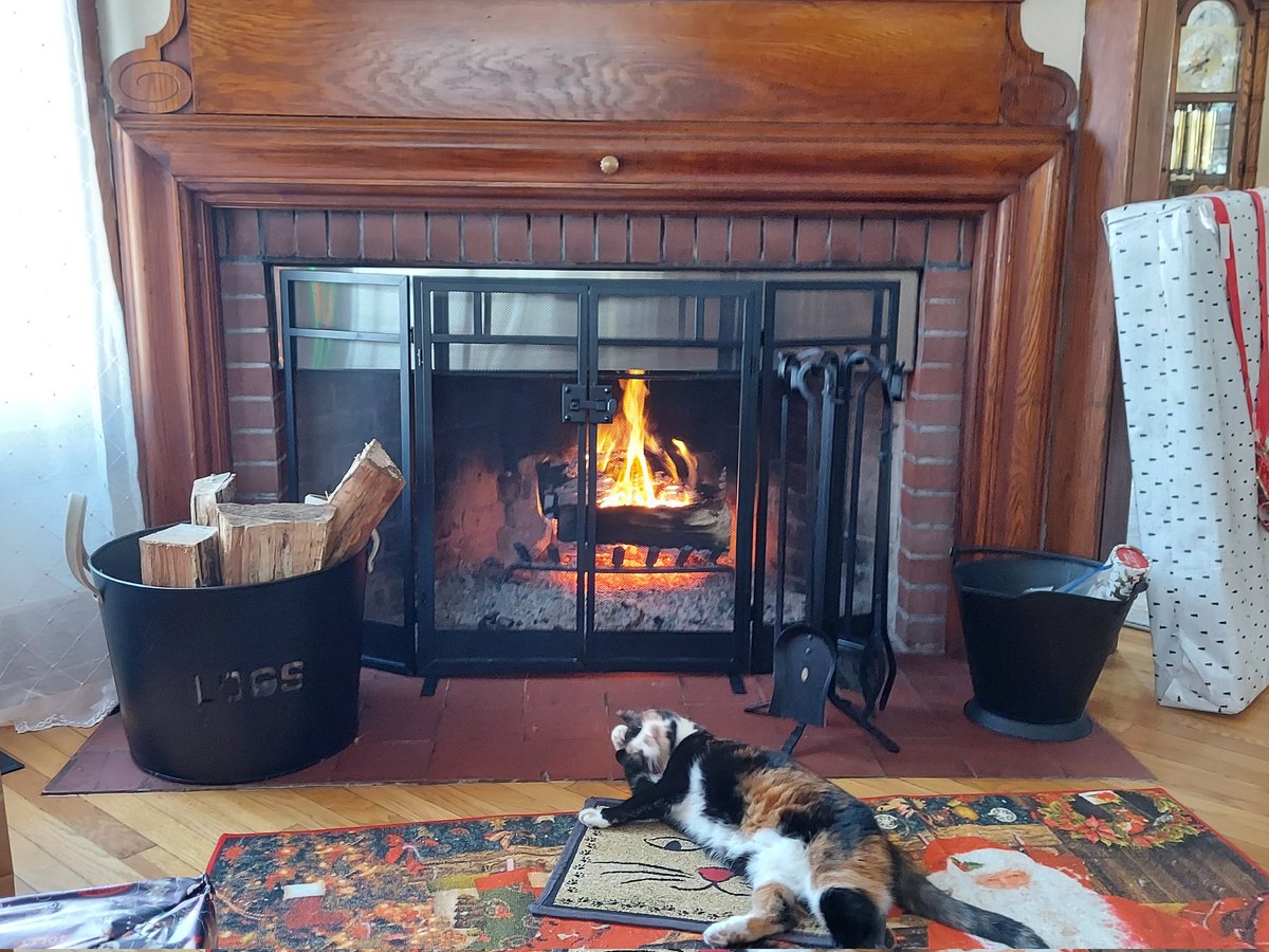 Cats love fireplaces. #NYwx