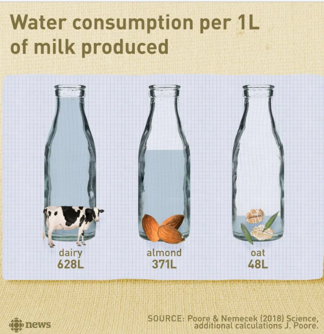 Who else loves coffee? 
I so do 
I switched to Oat Milk 
Here is why
Have you tried? Local oats a simple step &amp; you what? 🌱☕️I think its tastier too
🫗 
💚#ClimateAction