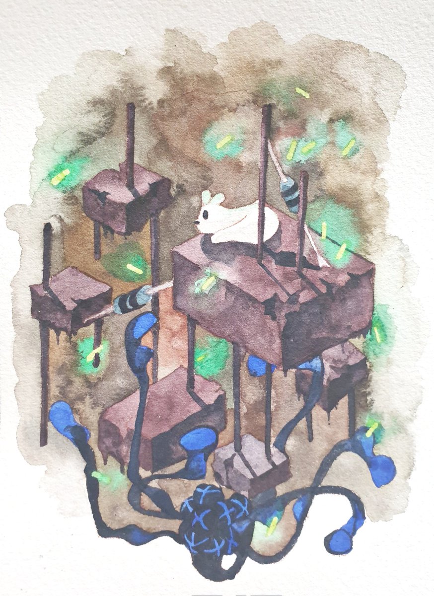 티와이🥳 tweet media